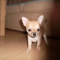 /album/cassidy/a17-1-2013-22-jpg1/